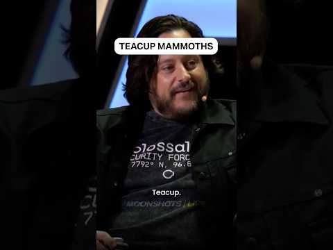 Ben Lamm on the most <strong>common</strong> requests Colossal gets, <strong>and</strong> why teacup mammoths aren't on the roadmap.