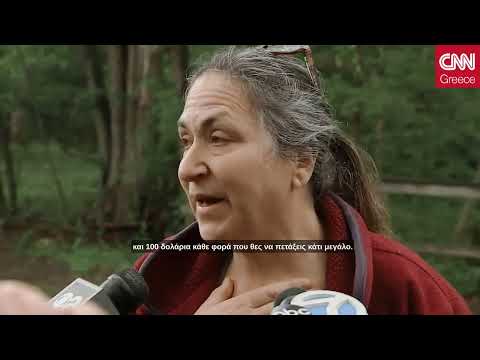 Μυστήριο στο Νιου Τζέρσεϊ: Πώς κατέληξαν σε δάσος κιλά μακαρόνια – Το βαθύτερο πρόβλημα