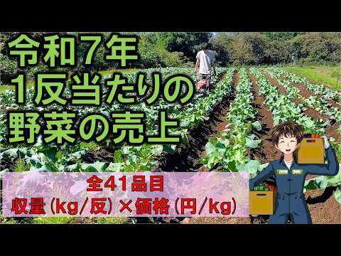 【野菜の反収】売上が良い=儲かるわけではありませんww