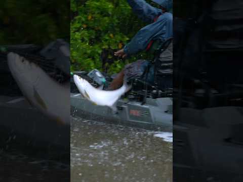 Behind the shot 🎥🎣 video thumbnail