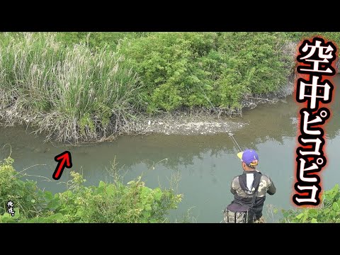 【６月】草むらに潜む魚の前でルアーをピコピコ動かすと…