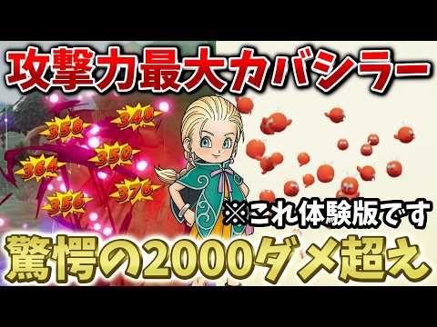 【DQM4】体験版で攻撃力1000以上！極限まで育てたカバシラーが最強すぎた！【ドラクエモンスターズ4】