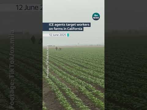 A clip posted on social media shows ICE agents chasing after workers in Oxnard, California #itvnews