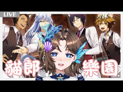 【#貓郎樂園 】貓貓!!!! 我要貓貓【優塔Jutta Ch.】 原創曲MV募資中 | 新型態預測中 |