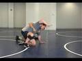 TheWrestlingMall