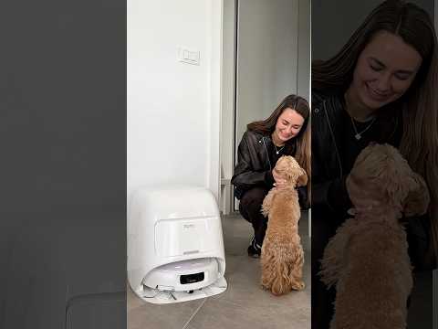 Grazie ​⁠@romo_italia♥️ #Aspirapolvere #DJIROMO #casa #DJI #maltipoo