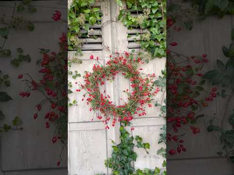 DIY-HAGEBUTTENKRANZ❣️ohne Draht😍super SCHNELL gemacht #kranz #diyprojects #herbstdeko
