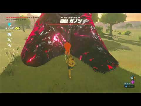 【ブレワイ】依頼を受けて、ラスボスの蹄でウマを面白くしたかった【ドリカラ】【ゼルダの伝説,ブレスオブザワイルド,BotW,字幕実況,バグ,検証】