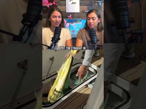Small lures catch MORE fish! video thumbnail