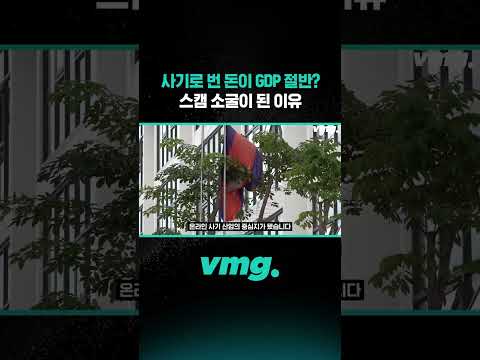사기로 번 돈이 <strong>GDP</strong> 절반? 스캠 소굴이 된 이유 / 비디오머그 #shorts