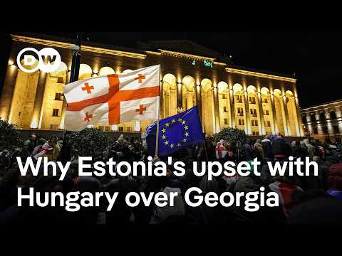 Estonian foreign minister accuses Hungary of playing for the other team | DW News