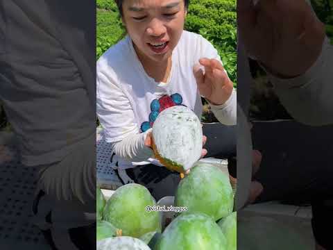 @vishal_vloggss #ytshorts #fruit #mangovarieties #video #mango #facts #shortvideo #viralvideo #fruit