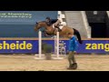 Cheval de CSO Competitive nine  year old mare