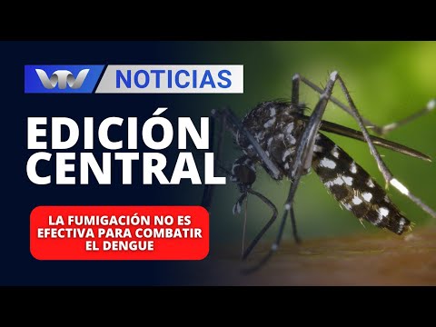 Edición Central 05/03 | La fumigación no es efectiva para combatir el dengue, dijo viróloga