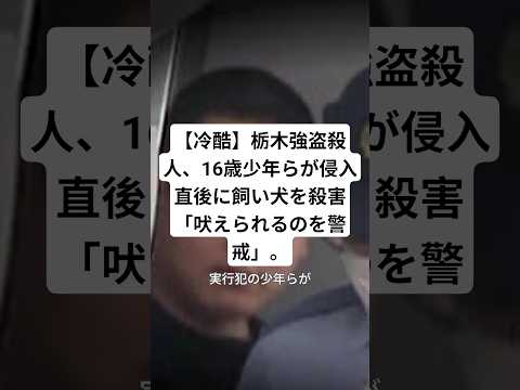 【冷酷】栃木強盜殺人、16歳少年らが侵入直後に飼い犬を殺害「吠えられるのを警戒」。#栃木強盜殺人 #上三川町 #事件解説 #動物愛護法違反 #ニュース #shorts