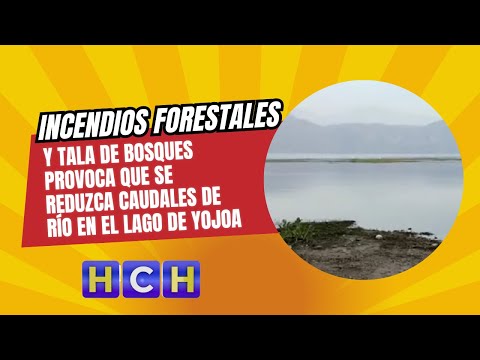 Incendios forestales y tala de bosques provoca que se reduzca caudales de río en el lago de Yojoa