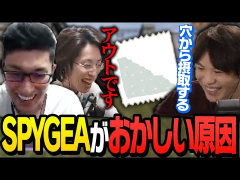 【良い薬見つけた】ここ最近のSPYGEAの情緒が不安定すぎる原因が明らかになる【ApexLegends】