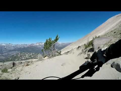 Mammoth