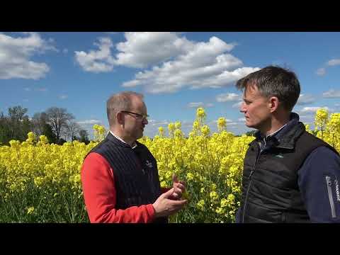 Del 6: Rapshälsa