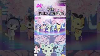 「花明かり」のダンスパフォーマンスを初披露！【Mステダイジェスト】 #Shorts #Beatcats #ビートキャッツ #サンリオ #セガ