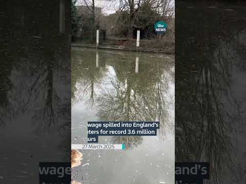 Water companies released raw sewage into England's rivers for 3.61million hours #environment