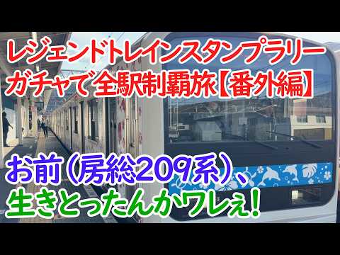 元房総209系、転職後の職場も海沿いの路線www