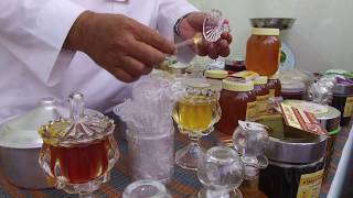 افتتاح مهرجان العسل والورد بالشفا