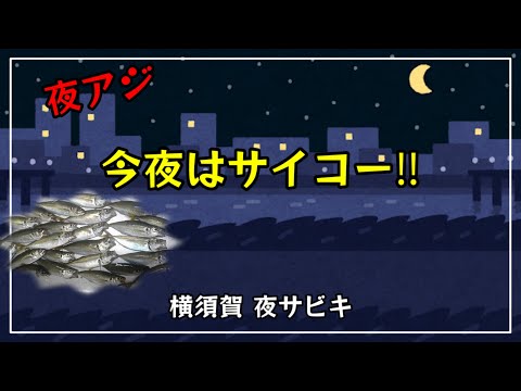 【夜のサビキ釣り】９月の東京灣陸っぱり！横須賀でのサビキ釣りです。今夜はサイコー‼
