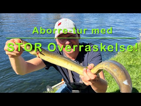 Aborretur med STOR overraskelse!