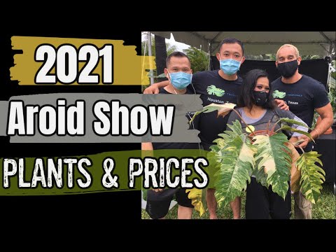 2021 International Aroid  Show & Sale, Prices for Trendy, Uncommon, Hard to Find & Rare Plants,