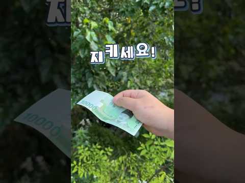 [<strong>현금영수증</strong> 공모전 동상] #국세청 #세금 #<strong>현금영수증</strong>