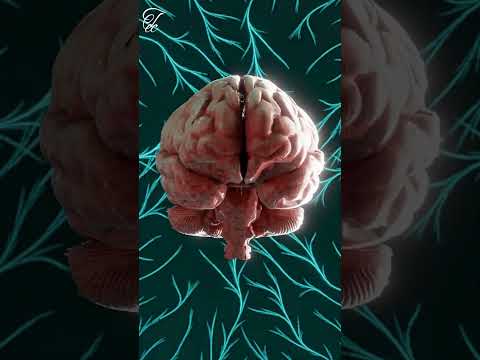 #De ce oamenii care își folosesc degetele sunt mai inteligenți? - #De ce-urile lumii- Ep 07