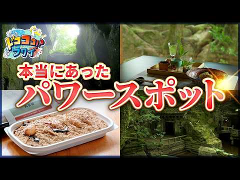 【福井のパワースポット巡り】黒龍神社・石切場・観覧堂…歴史×絶景×運気UP！【ドコココ！？フクイ】福井県リアルインタビュー 愛知発→福井・坂井エリアドライブ観光編