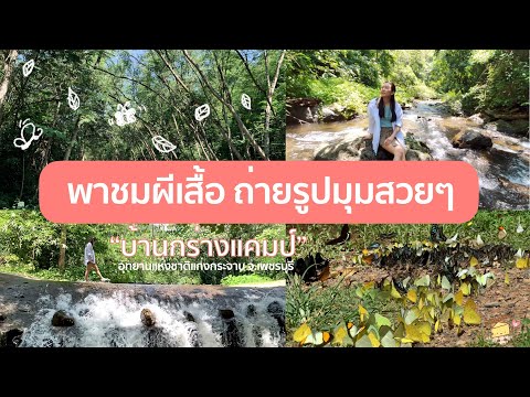 พาเที่ยวชมผีเสื้อ|บ้านกร่างแ