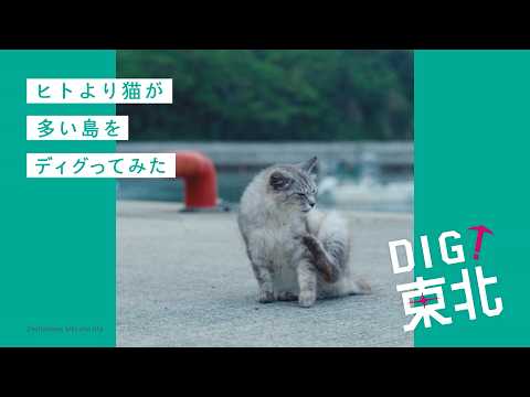 DIG!東北 「田代島」篇