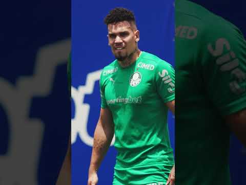 image para ilustrar o artigo