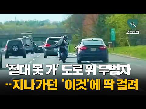 <strong>도로</strong> 위 무법자···예상 못하게 '딱 걸렸네!'