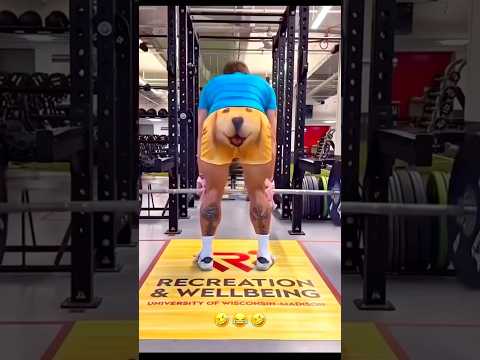 #funny #comedyfilms #challenge #comedymovies #lifeisbutadream #movie #funnycomedy #film #challenge