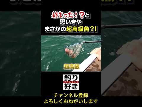 マジでデカい根魚釣れた！！！