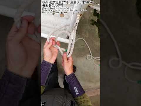 早くしっかりと結ぶロープワーク【もやい結び】実演 #キャンプ #ロープワーク #結び方