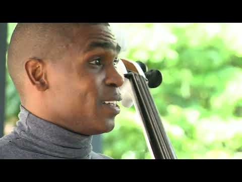Spirokor, música, balile y sentimientos en el violonchelo - Telemedellín