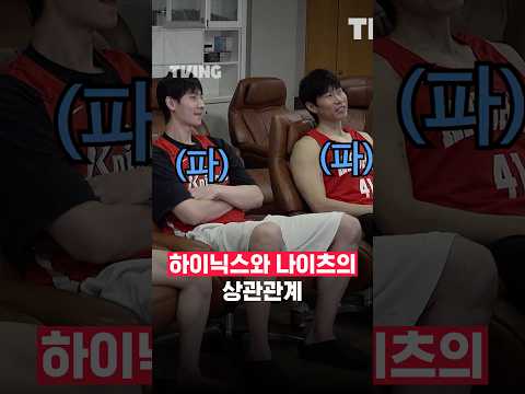 [큽털기] 하이닉스와 나이츠의 상관관계ᅵ