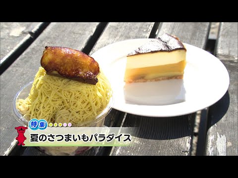 ウィークリー千葉県「夏のさつまいもパラダイス」R7/8/2
