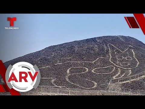Hallan un gato de más de 2 mil años entre las líneas de Nazca | Al Rojo Vivo | Telemundo