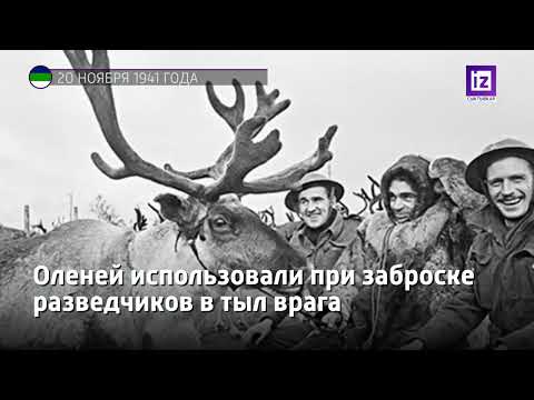 iZ ПРОШЛОГО - 20 НОЯБРЯ 2022