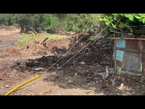 Destruyen Humedales de Guazumal-Tamboril, ante la mirada indiferentes de autoridades