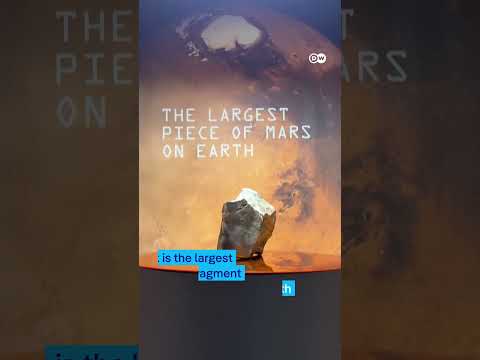 Mars meteorite auctioned for record price of €4.5 million | DW News