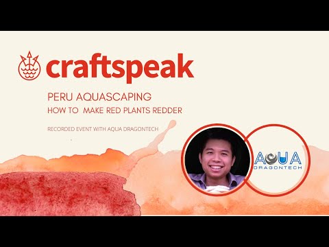 Craftspeak Peru_ Aqua dragontech - Planted Tank Setup: How to make red plants redder