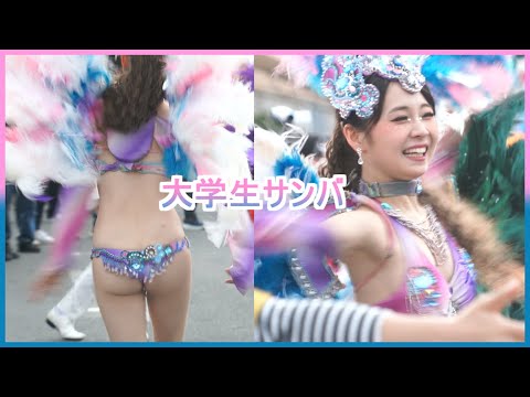 4K 美人 大学生サンバ カーニバル ウニアン お台場 肉フェス 2025 Samba 日本の祭り 可愛い