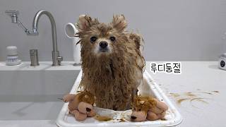 動画サムネイル